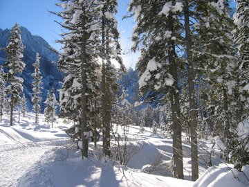 Pohod s krpljami - Logarska dolina Pohod s krpljami - Logarska dolina