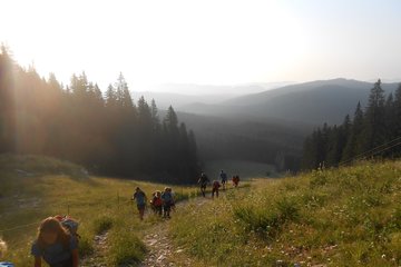 Preživetje v naravi - tabor preživetja Tabor preživetja v naravi
