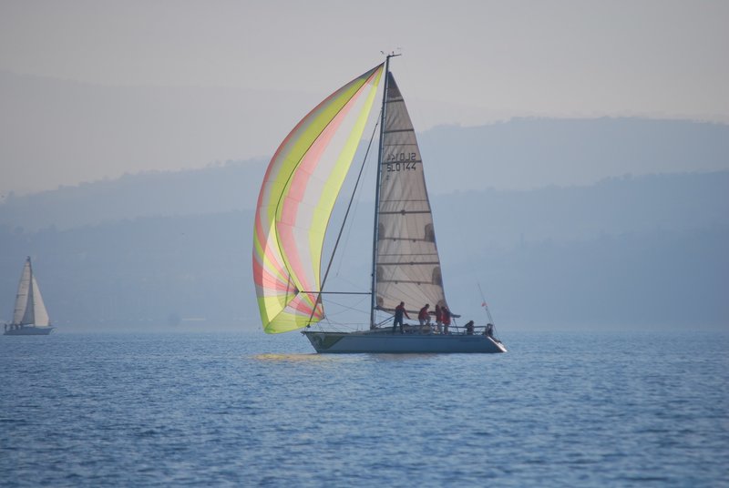 Jadranje - Dugi otok, Iž, Žut