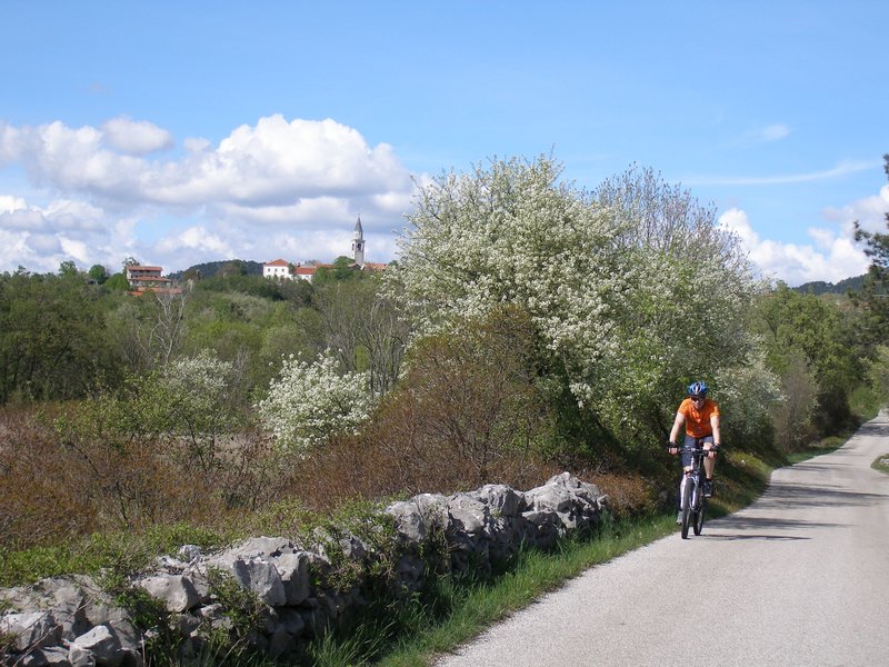 Kolesarski izleti po Sloveniji - Kras in morje Vodena kolesarska tura po Sloveniji