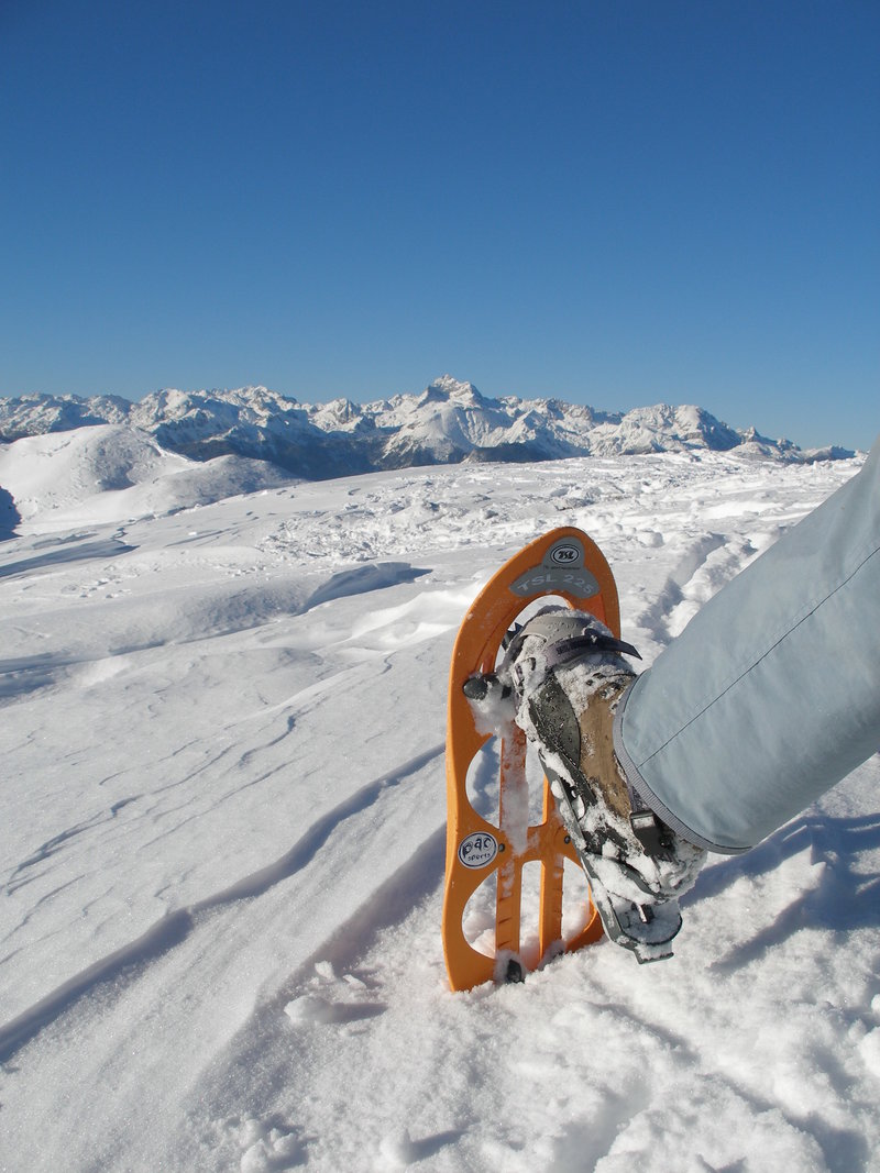 Krpljanje Pokljuka