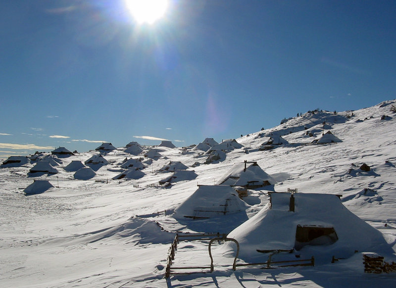 Krpljanje Velika Planina