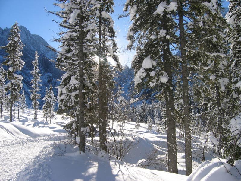 Pohod s krpljami - Logarska dolina