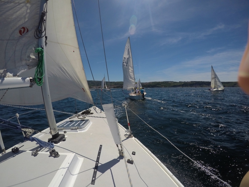 Enodnevno jadranje in regata - teambuilding