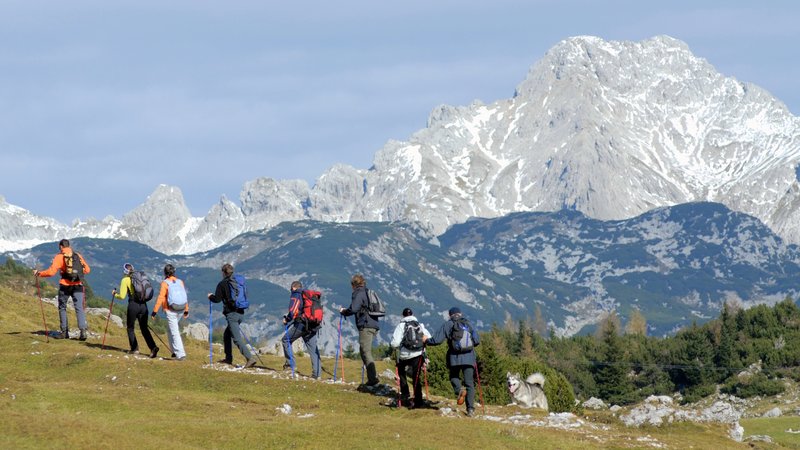 Team building na veliki planini Treking Velika Planina