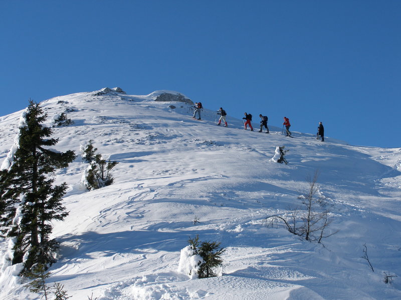 Zimski teambuilding za skupine - krpljanje